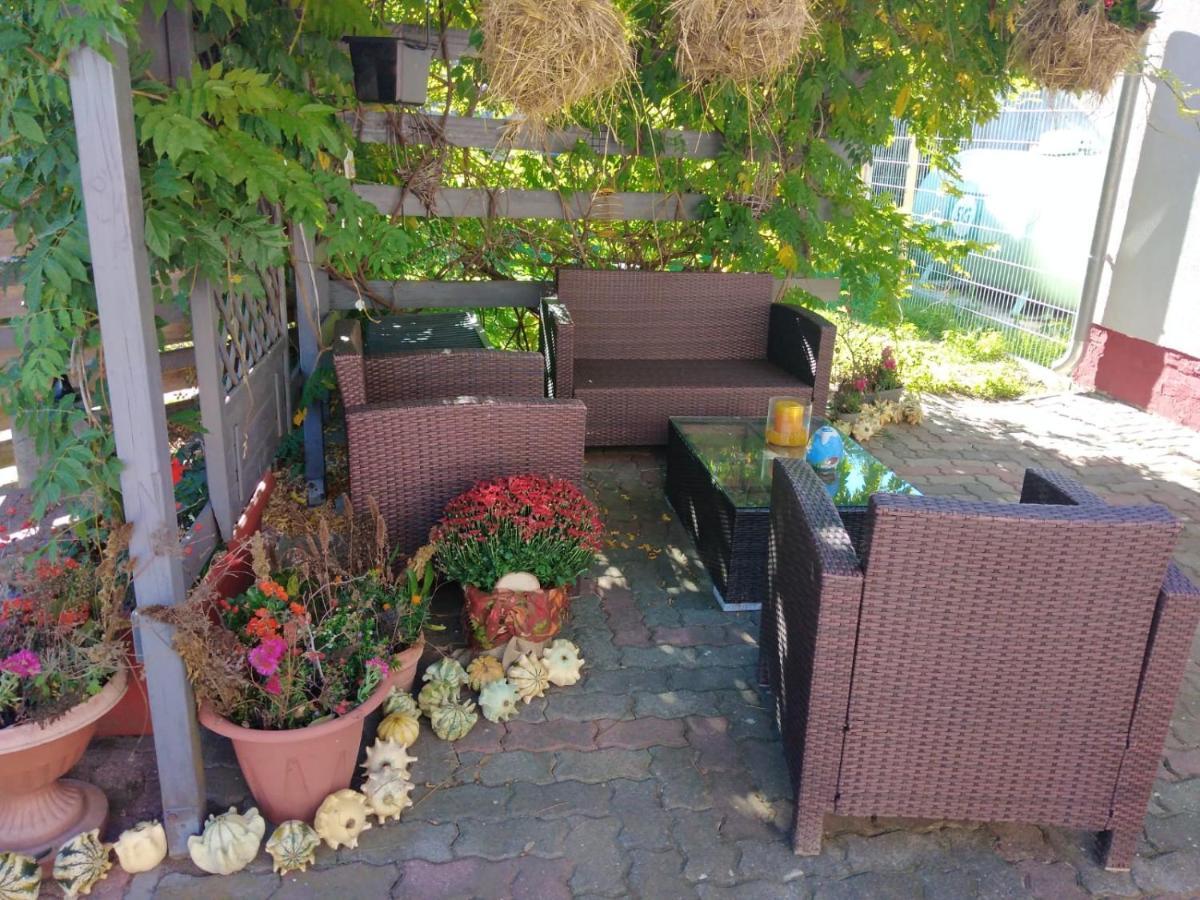 Ferienhaus Badetz 外观 照片